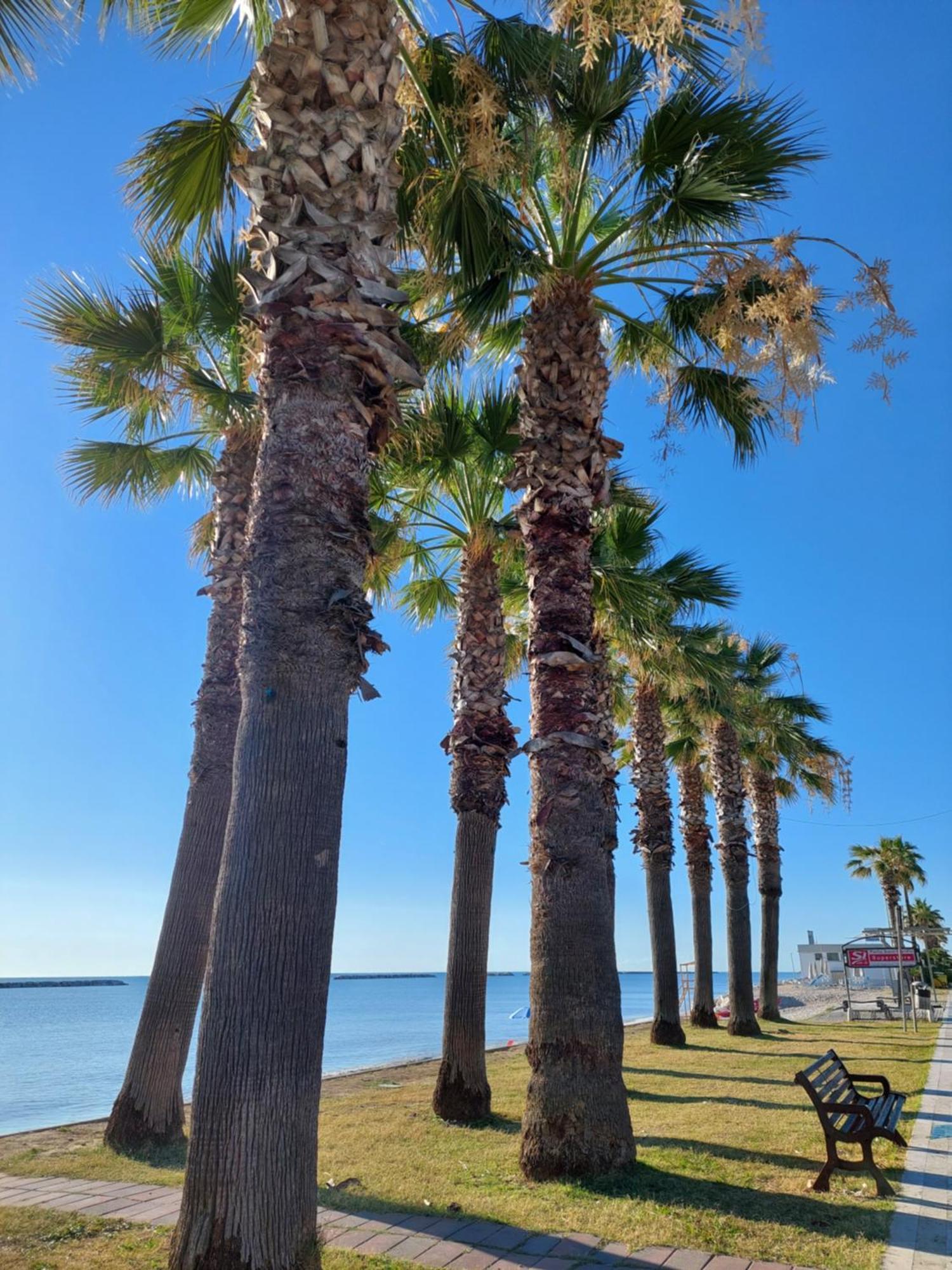 La Conchiglia Appartement Porto SantʼElpidio Buitenkant foto